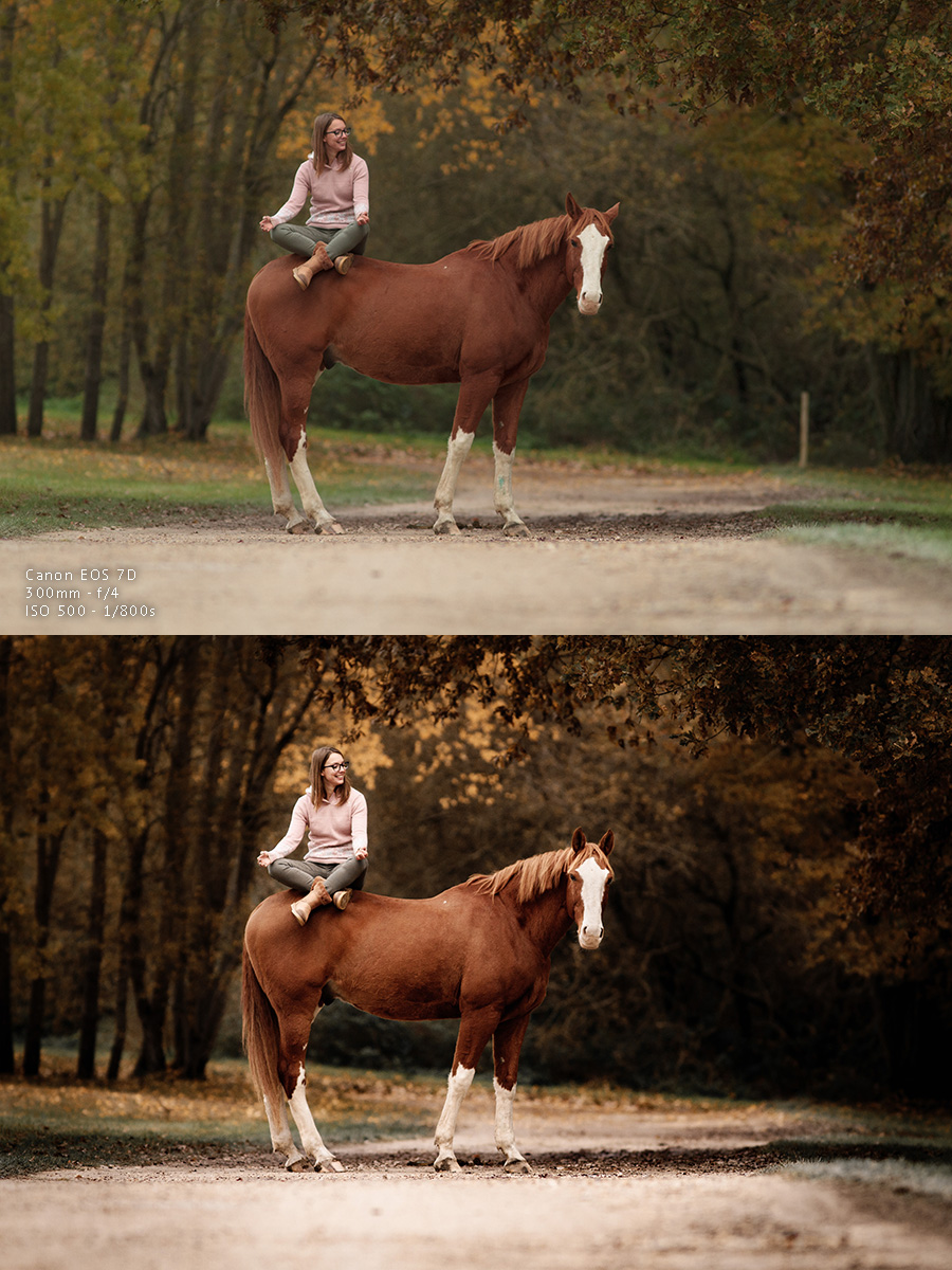 avant-après retouche photo d'une photographie équine