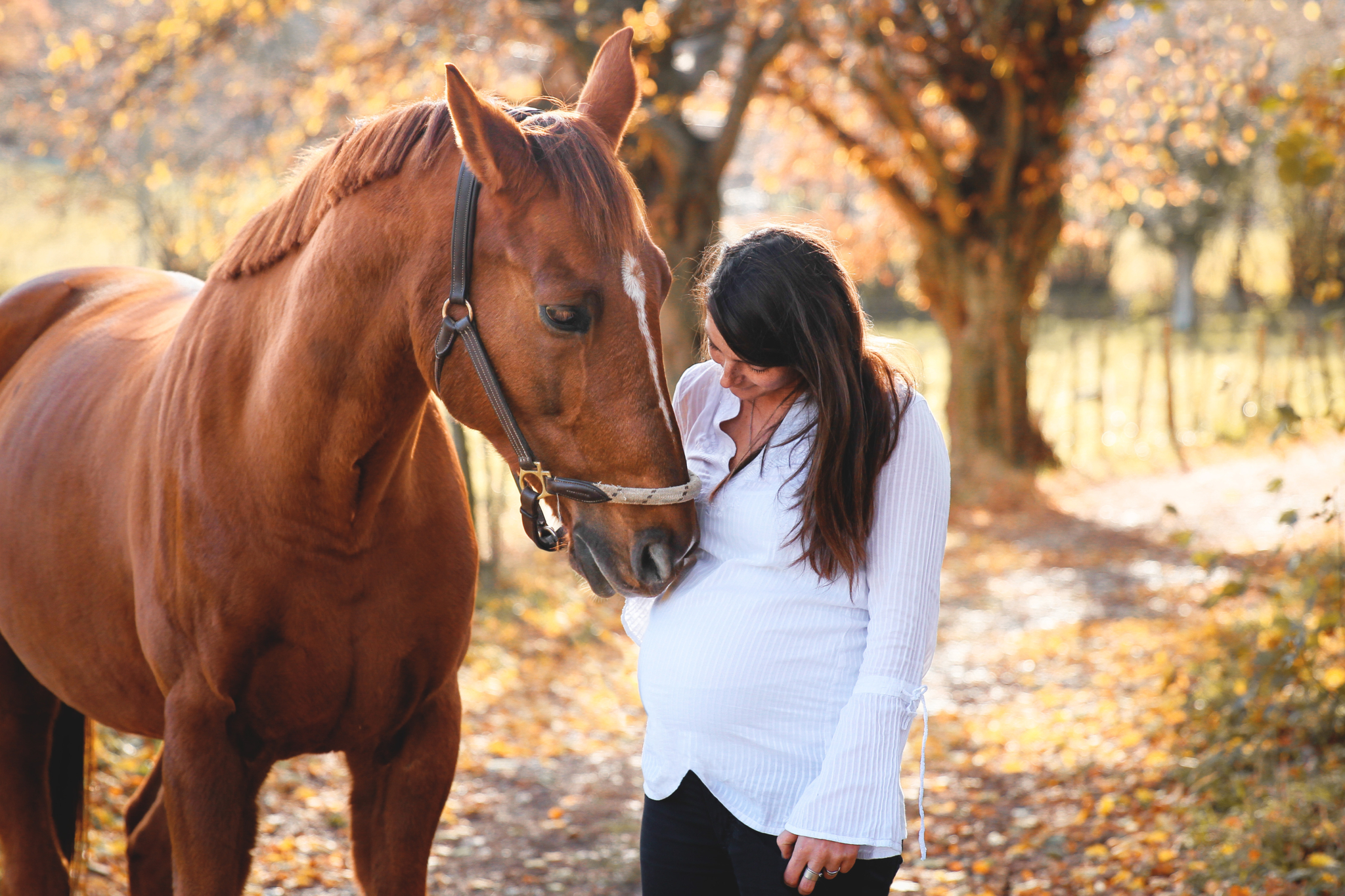 Grossesse et cheval