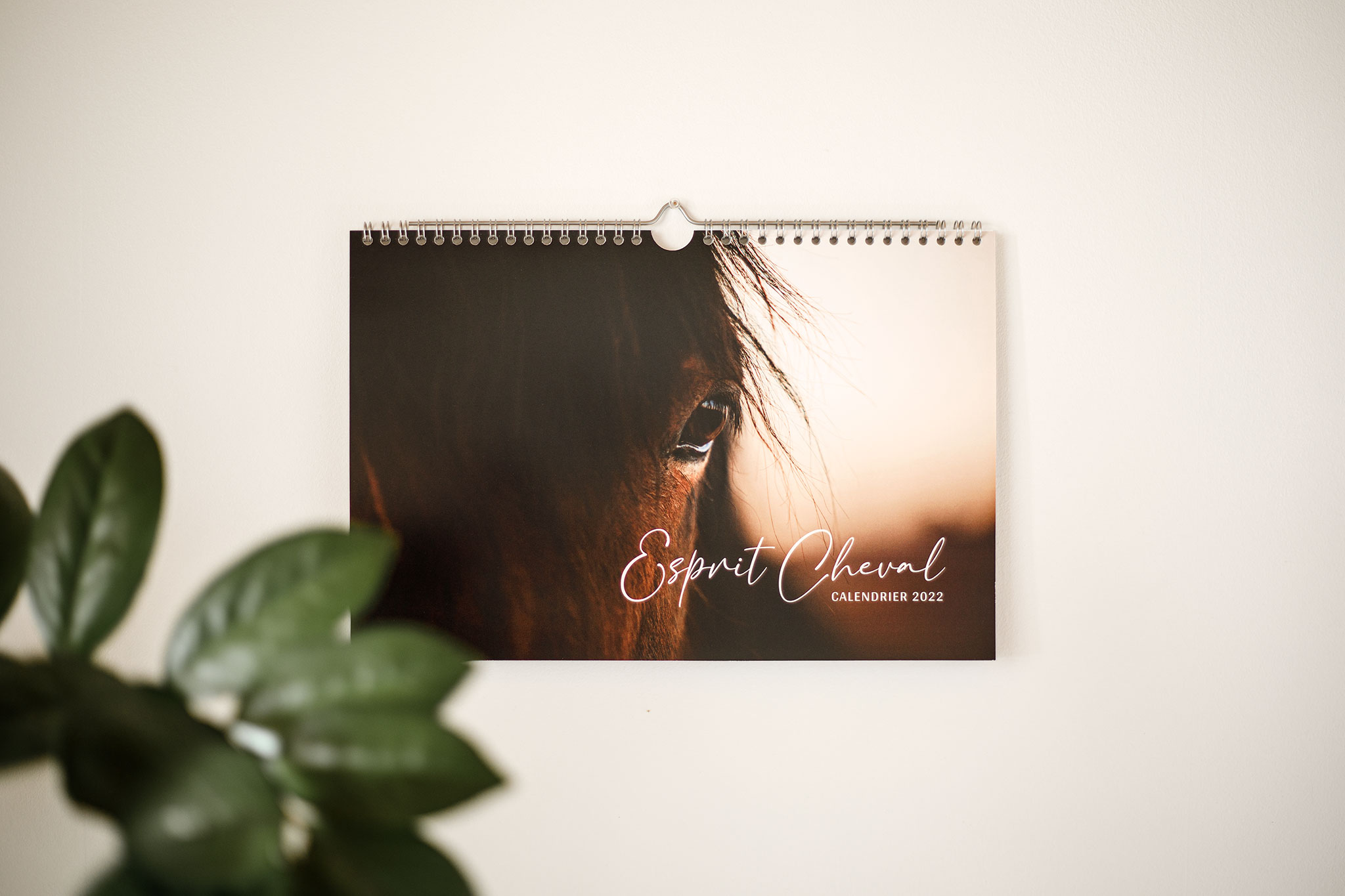 Calendrier 2022 "Esprit Cheval" par Faustine Gauchet