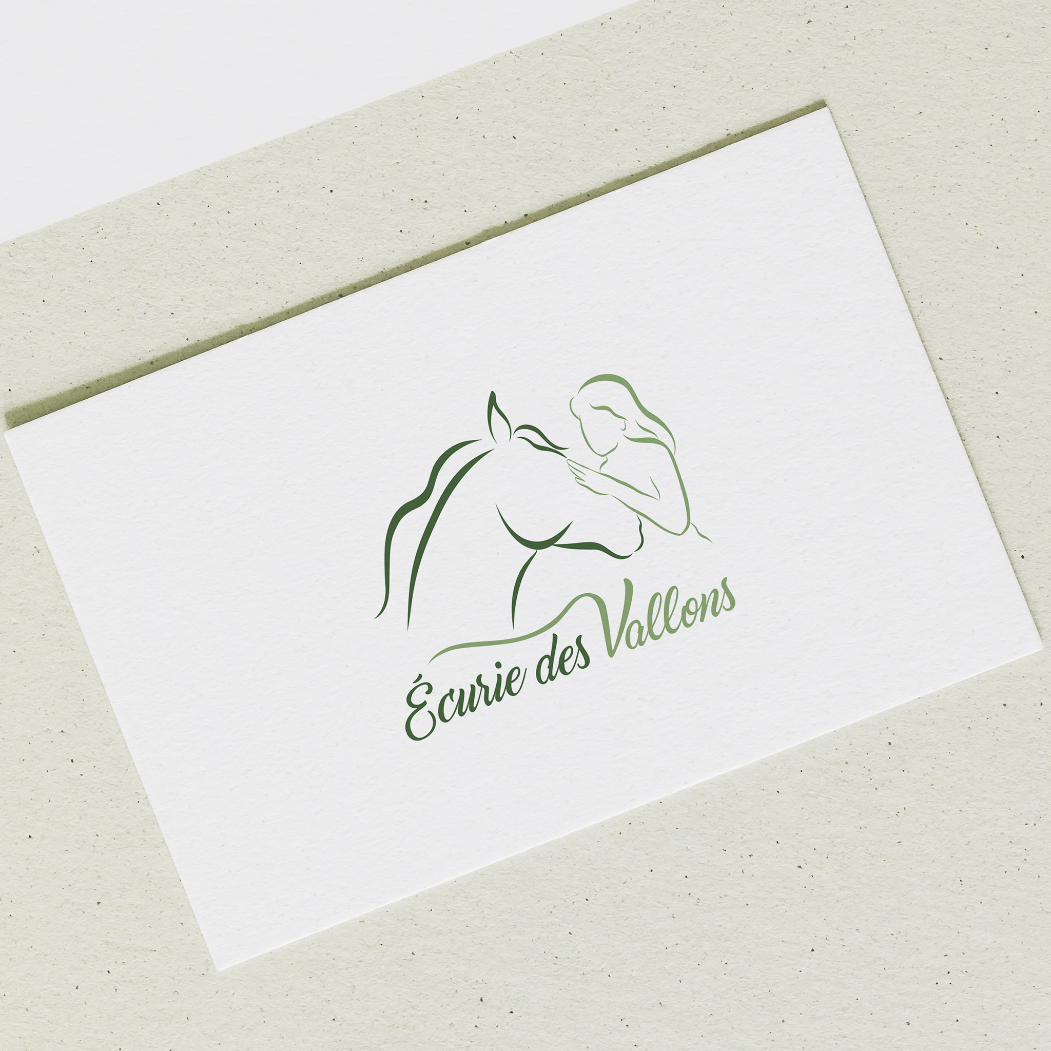 Logo Écurie des vallons de la tour par Faustine Gauchet