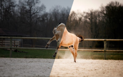 Les étapes d’une retouche photo : jeux en carrière avec Oméga